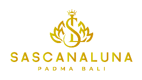 Sascanaluna logo
